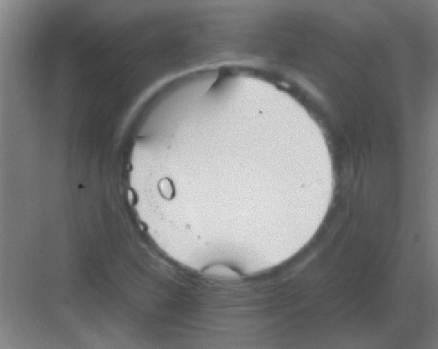 X0000081291310200702082008