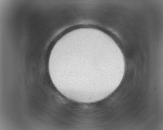 X0000081291311200702082008