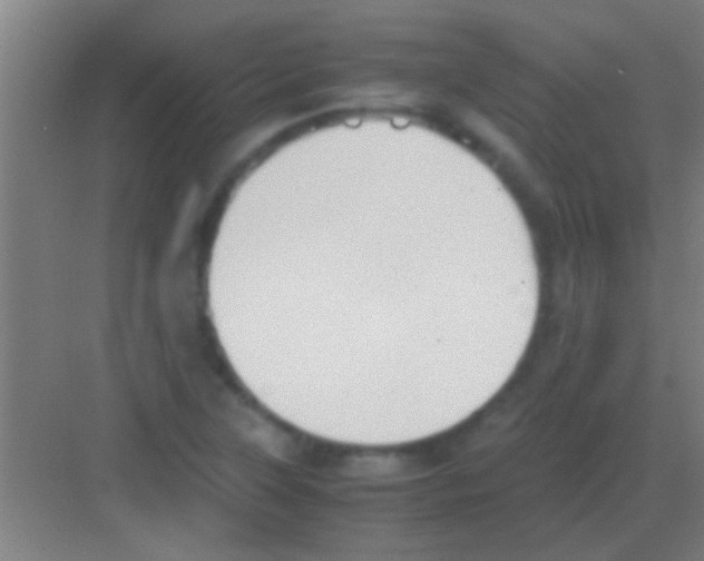 X0000081291315200702082008