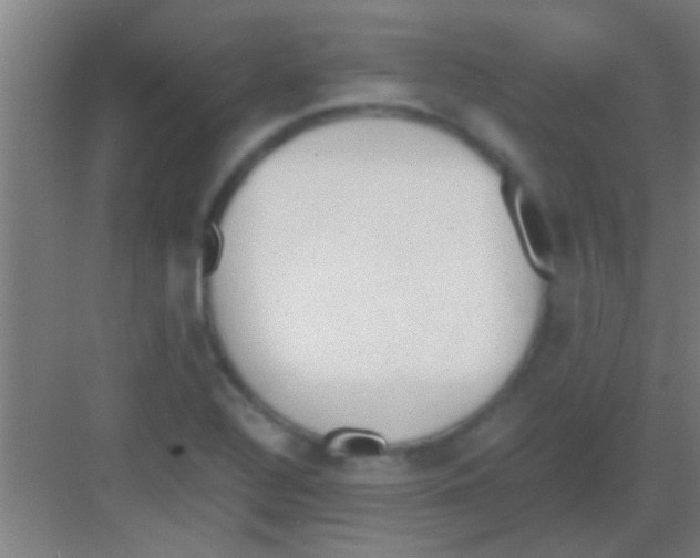 X0000081291320200702082008