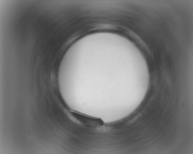 X0000081291321200702082008