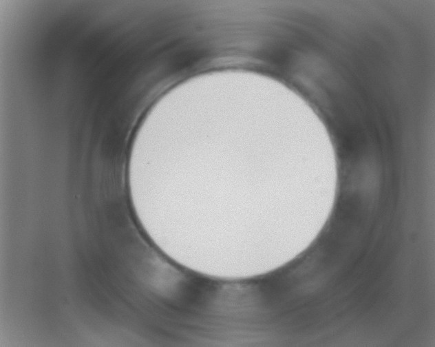 X0000081291322200702082008