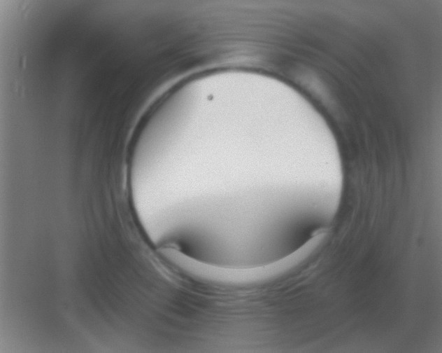 X0000081291324200702082008