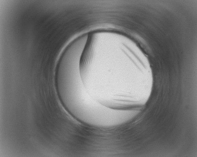 X0000081291326200702082008