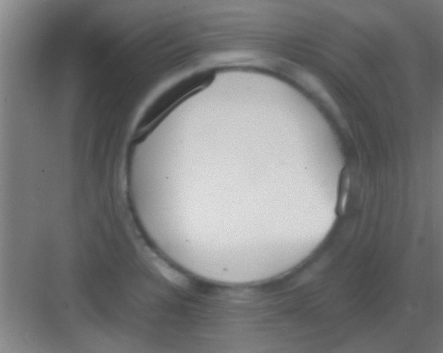 X0000081291328200702082008