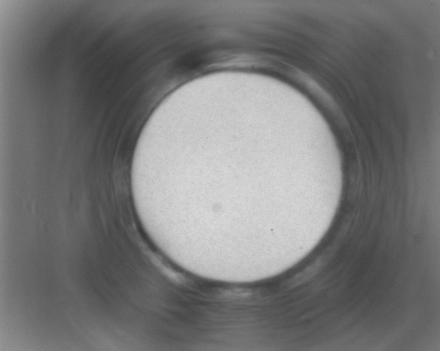 X0000081291329200702082008