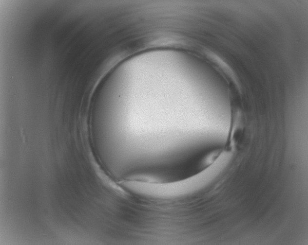 X0000081291330200702082008