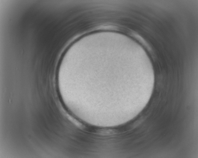 X0000081291331200702082008