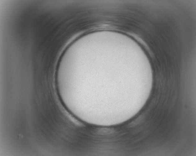 X0000081291333200702082008