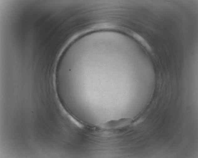 X0000081291334200702082008