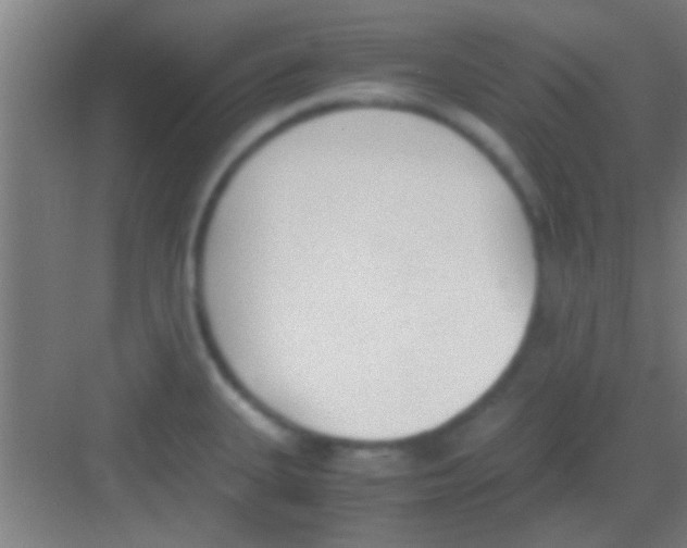 X0000081291335200702082008