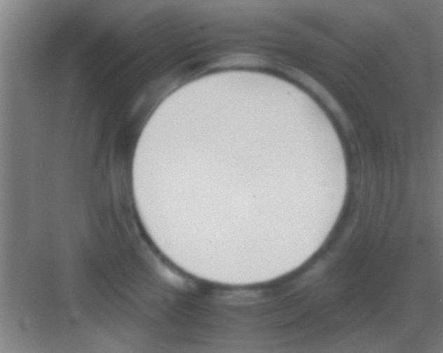 X0000081291337200702082009