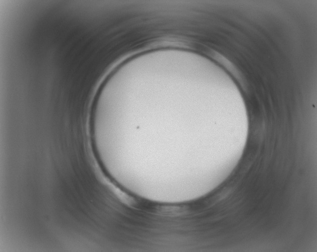 X0000081291339200702082009