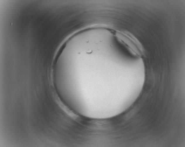 X0000081291340200702082009