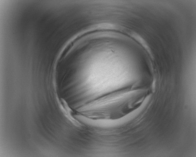 X0000081291342200702082009