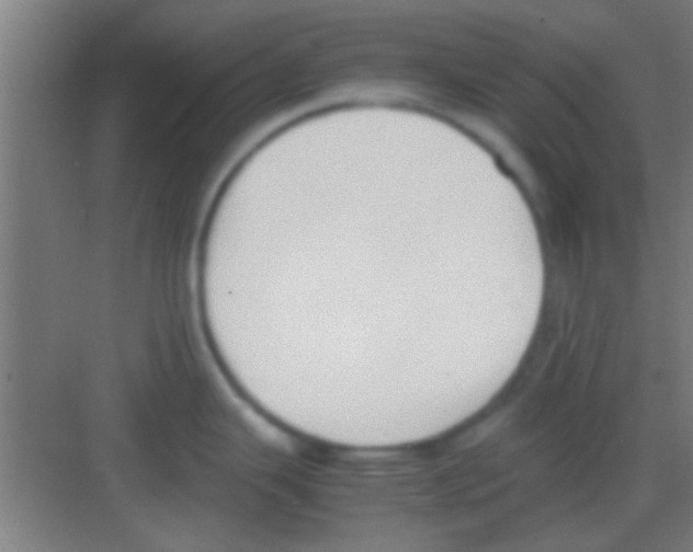 X0000081291343200702082009