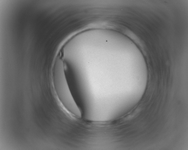 X0000081291344200702082009