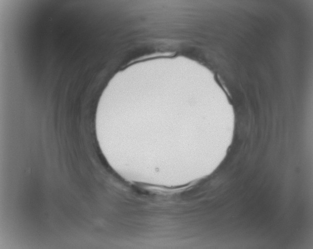 X0000081291345200702082008