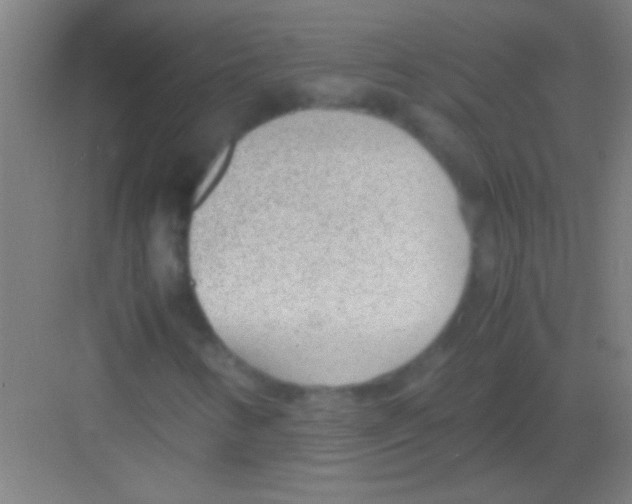 X0000081291346200702082008