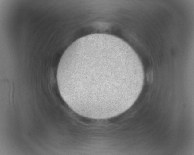 X0000081291347200702082008