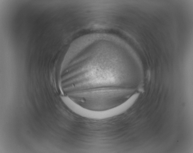 X0000081291348200702082008