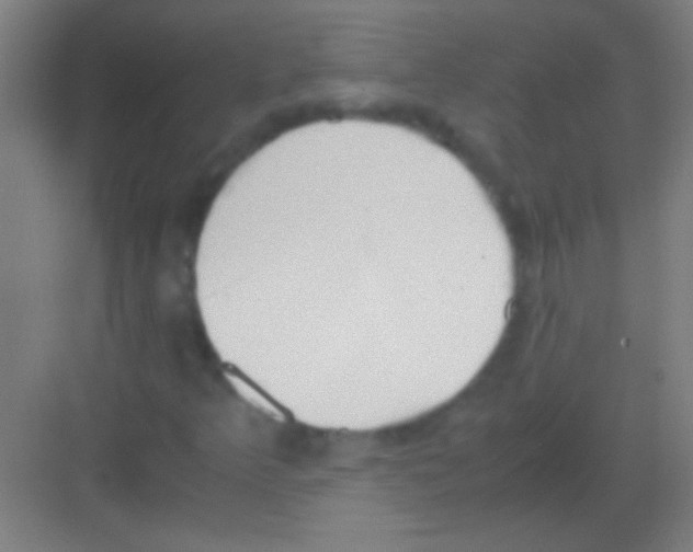 X0000081291349200702082008