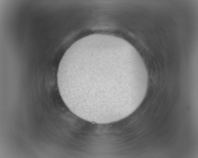 X0000081291350200702082008