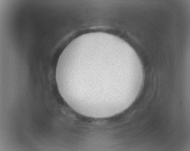 X0000081291351200702082008