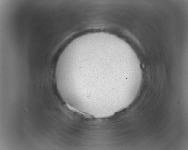 X0000081291352200702082008