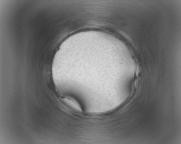 X0000081291355200702082008