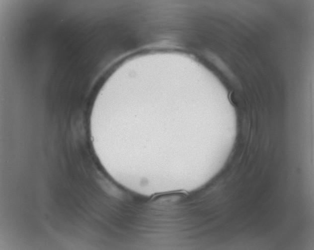 X0000081291356200702082008