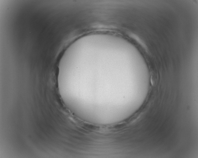 X0000081291357200702082008