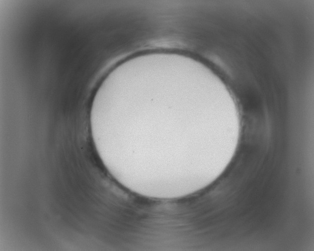 X0000081291358200702082008