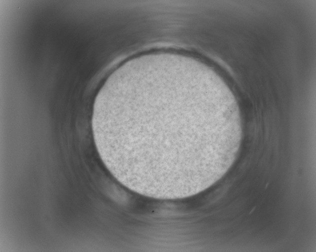 X0000081291359200702082008