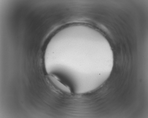 X0000081291360200702082008