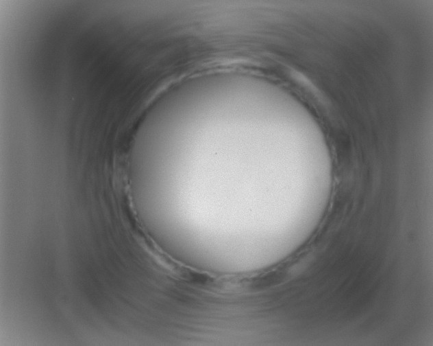 X0000081291361200702082008