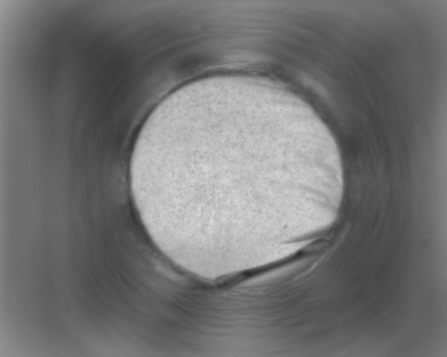 X0000081291362200702082008