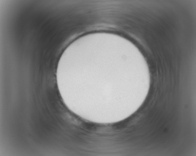 X0000081291363200702082008