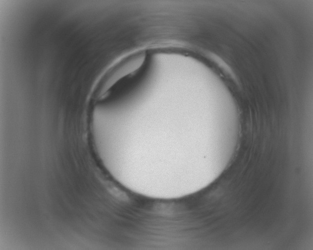 X0000081291364200702082008