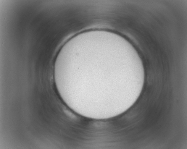 X0000081291366200702082007