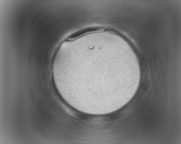 X0000081291367200702082007