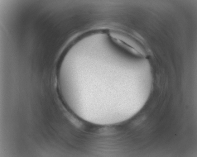 X0000081291368200702082007