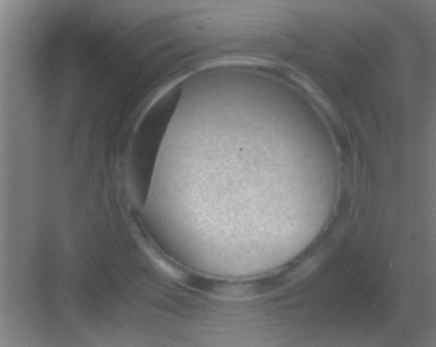 X0000081291369200702082007