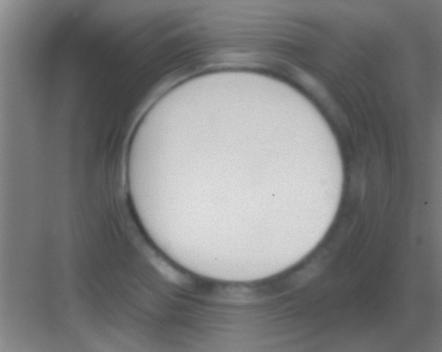 X0000081291370200702082007