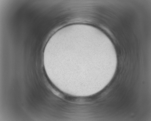 X0000081291371200702082007