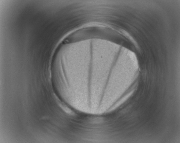 X0000081291372200702082007