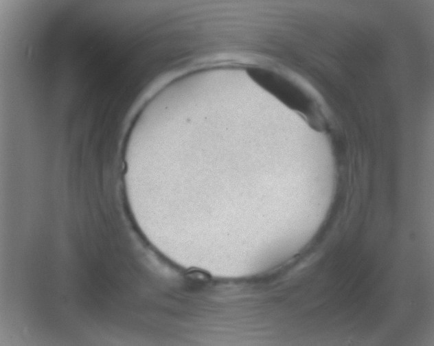 X0000081291373200702082007