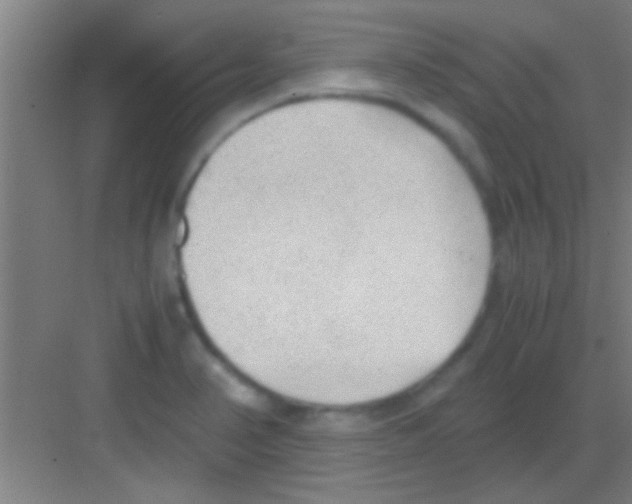 X0000081291374200702082007