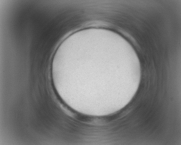 X0000081291375200702082007