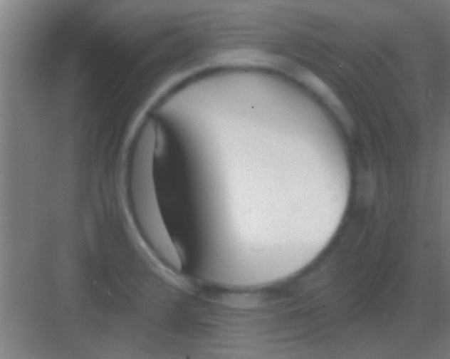 X0000081291376200702082007